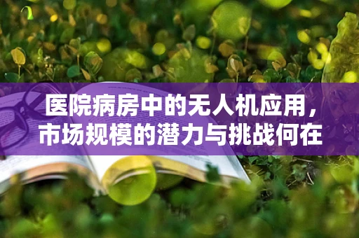 医院病房中的无人机应用，市场规模的潜力与挑战何在？