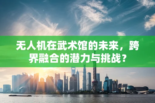 无人机在武术馆的未来，跨界融合的潜力与挑战？