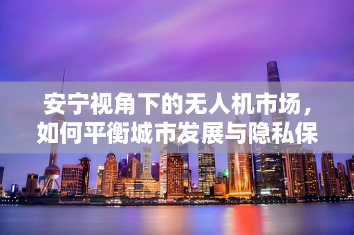 安宁视角下的无人机市场，如何平衡城市发展与隐私保护？