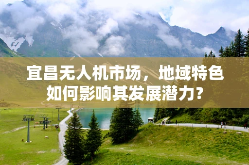 宜昌无人机市场，地域特色如何影响其发展潜力？