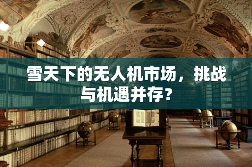 雪天下的无人机市场，挑战与机遇并存？