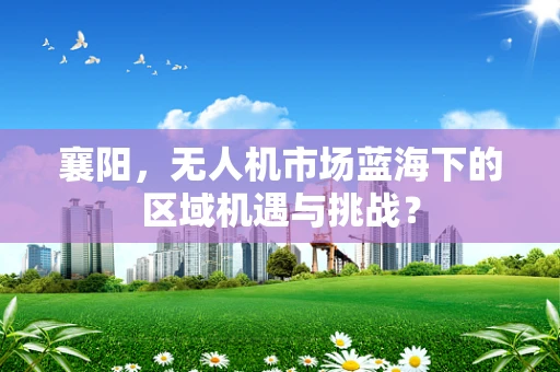 襄阳，无人机市场蓝海下的区域机遇与挑战？