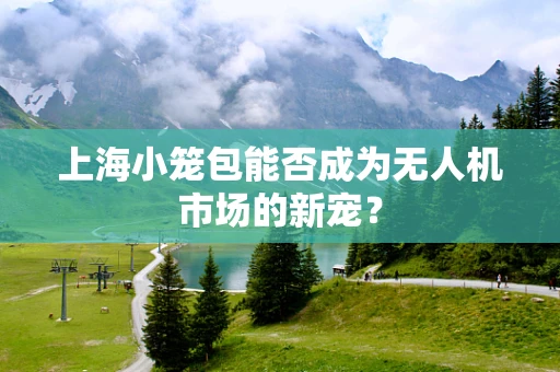 上海小笼包能否成为无人机市场的新宠？