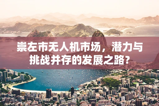 崇左市无人机市场，潜力与挑战并存的发展之路？