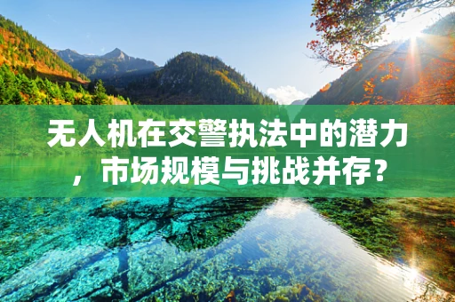 无人机在交警执法中的潜力，市场规模与挑战并存？