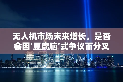 无人机市场未来增长，是否会因‘豆腐脑’式争议而分叉？