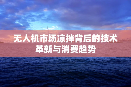 无人机市场凉拌背后的技术革新与消费趋势