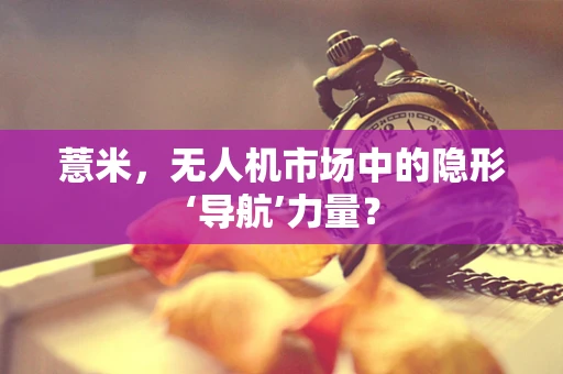 薏米，无人机市场中的隐形‘导航’力量？