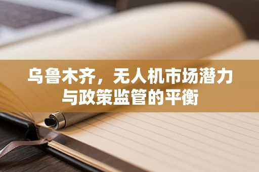 乌鲁木齐，无人机市场潜力与政策监管的平衡