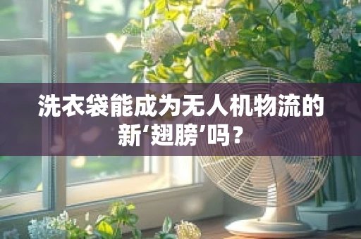 洗衣袋能成为无人机物流的新‘翅膀’吗？