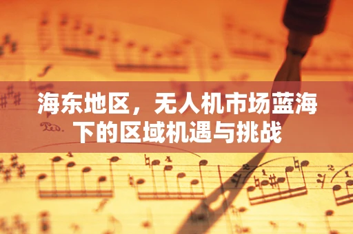 海东地区，无人机市场蓝海下的区域机遇与挑战