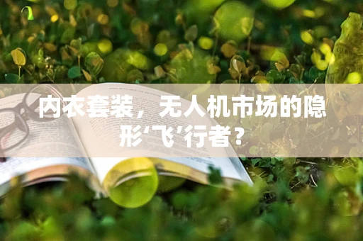 内衣套装，无人机市场的隐形‘飞’行者？