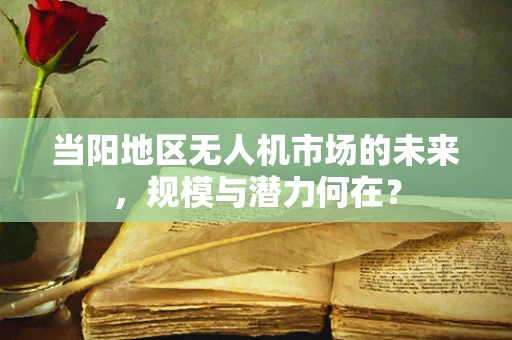 当阳地区无人机市场的未来，规模与潜力何在？