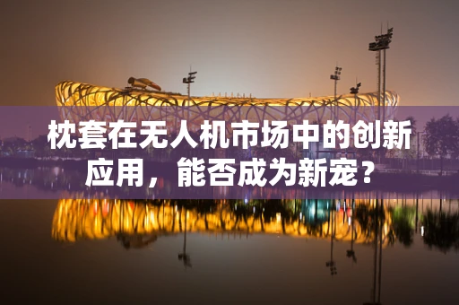 枕套在无人机市场中的创新应用，能否成为新宠？