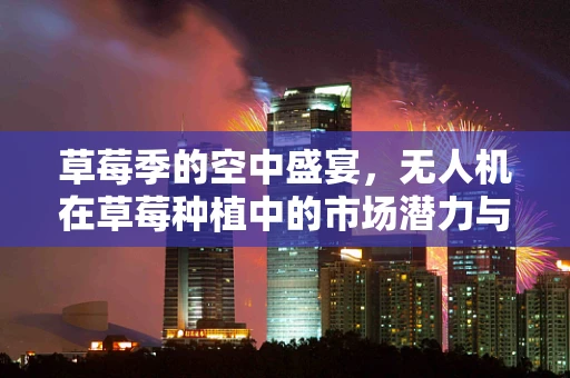 草莓季的空中盛宴，无人机在草莓种植中的市场潜力与挑战？