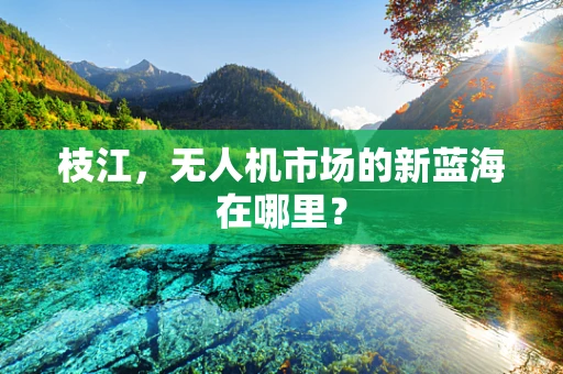 枝江，无人机市场的新蓝海在哪里？