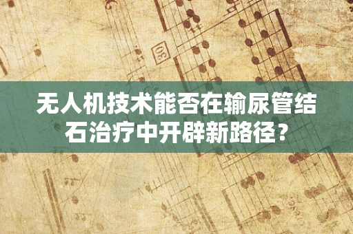 无人机技术能否在输尿管结石治疗中开辟新路径？
