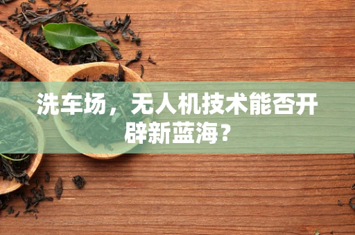 洗车场，无人机技术能否开辟新蓝海？