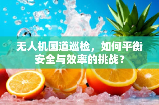 无人机国道巡检，如何平衡安全与效率的挑战？