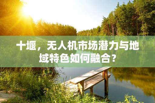 十堰，无人机市场潜力与地域特色如何融合？