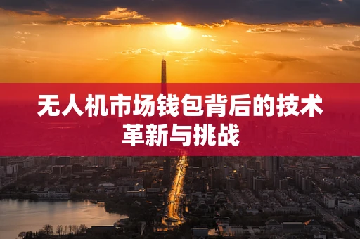 无人机市场钱包背后的技术革新与挑战