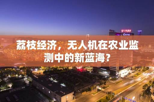 荔枝经济，无人机在农业监测中的新蓝海？