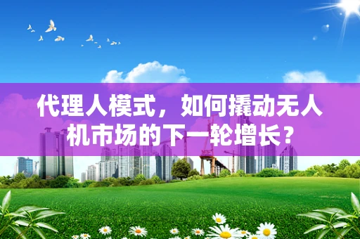 代理人模式，如何撬动无人机市场的下一轮增长？