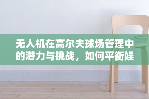 无人机在高尔夫球场管理中的潜力与挑战，如何平衡娱乐与隐私？