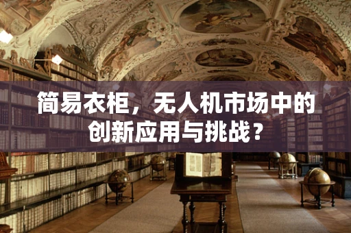 简易衣柜，无人机市场中的创新应用与挑战？