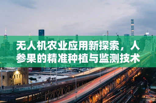 无人机农业应用新探索，人参果的精准种植与监测技术挑战