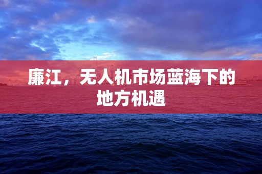 廉江，无人机市场蓝海下的地方机遇