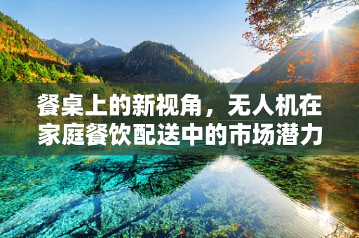 餐桌上的新视角，无人机在家庭餐饮配送中的市场潜力如何？