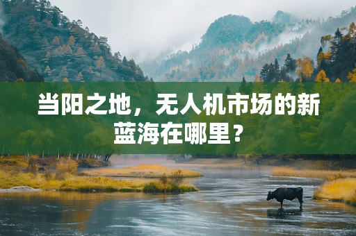 当阳之地，无人机市场的新蓝海在哪里？