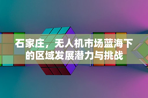 石家庄，无人机市场蓝海下的区域发展潜力与挑战