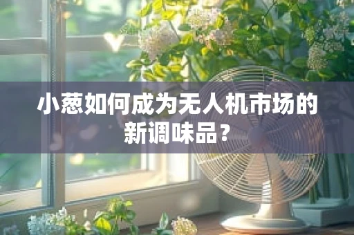 小葱如何成为无人机市场的新调味品？