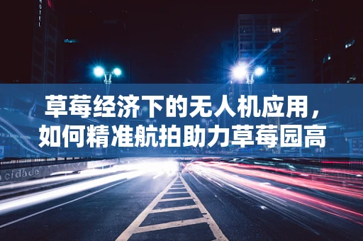 草莓经济下的无人机应用，如何精准航拍助力草莓园高效管理？