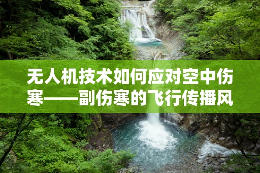 无人机技术如何应对空中伤寒——副伤寒的飞行传播风险？