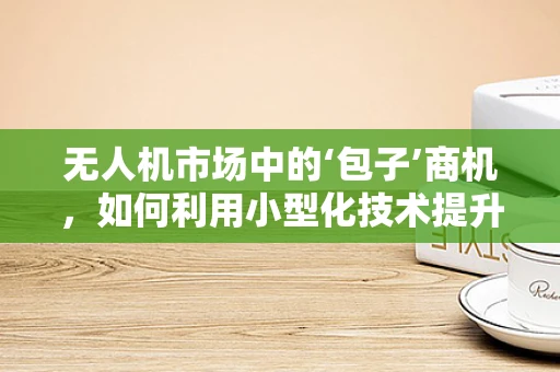 无人机市场中的‘包子’商机，如何利用小型化技术提升便携式配送服务？