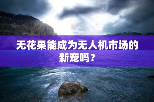 无花果能成为无人机市场的新宠吗？