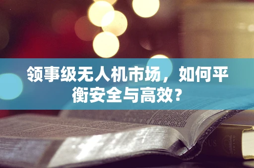 领事级无人机市场，如何平衡安全与高效？
