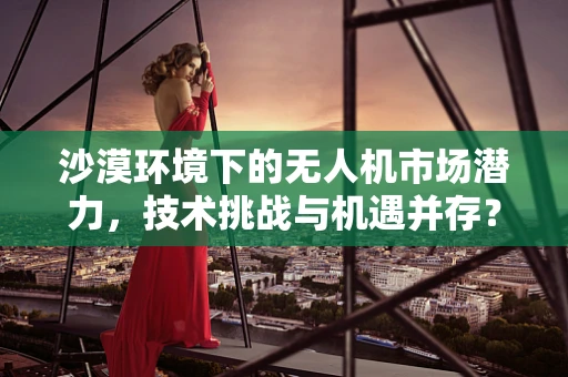 沙漠环境下的无人机市场潜力，技术挑战与机遇并存？