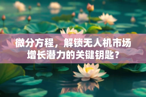 微分方程，解锁无人机市场增长潜力的关键钥匙？