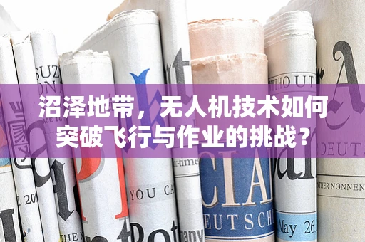 沼泽地带，无人机技术如何突破飞行与作业的挑战？