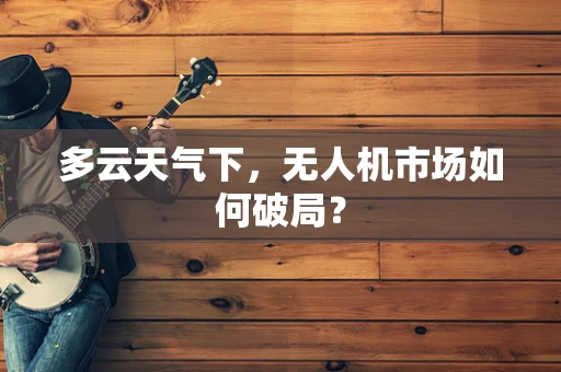多云天气下，无人机市场如何破局？