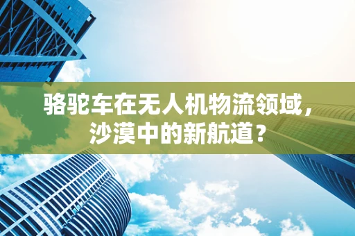 骆驼车在无人机物流领域，沙漠中的新航道？