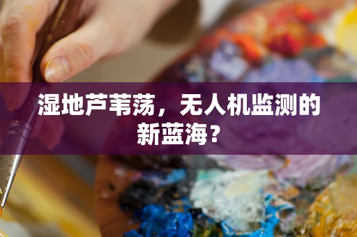 湿地芦苇荡，无人机监测的新蓝海？