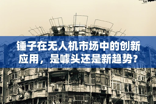 锤子在无人机市场中的创新应用，是噱头还是新趋势？