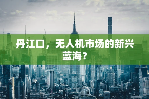 丹江口，无人机市场的新兴蓝海？