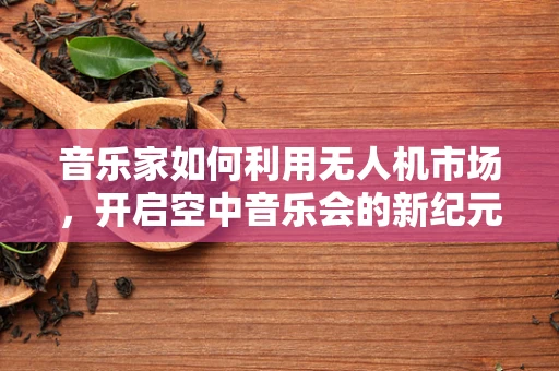 音乐家如何利用无人机市场，开启空中音乐会的新纪元？