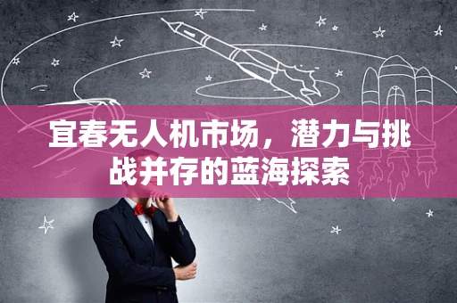 宜春无人机市场，潜力与挑战并存的蓝海探索